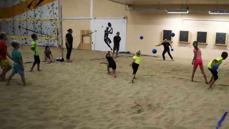De kids spelen trefbal en gooien ballen naar de overkant.